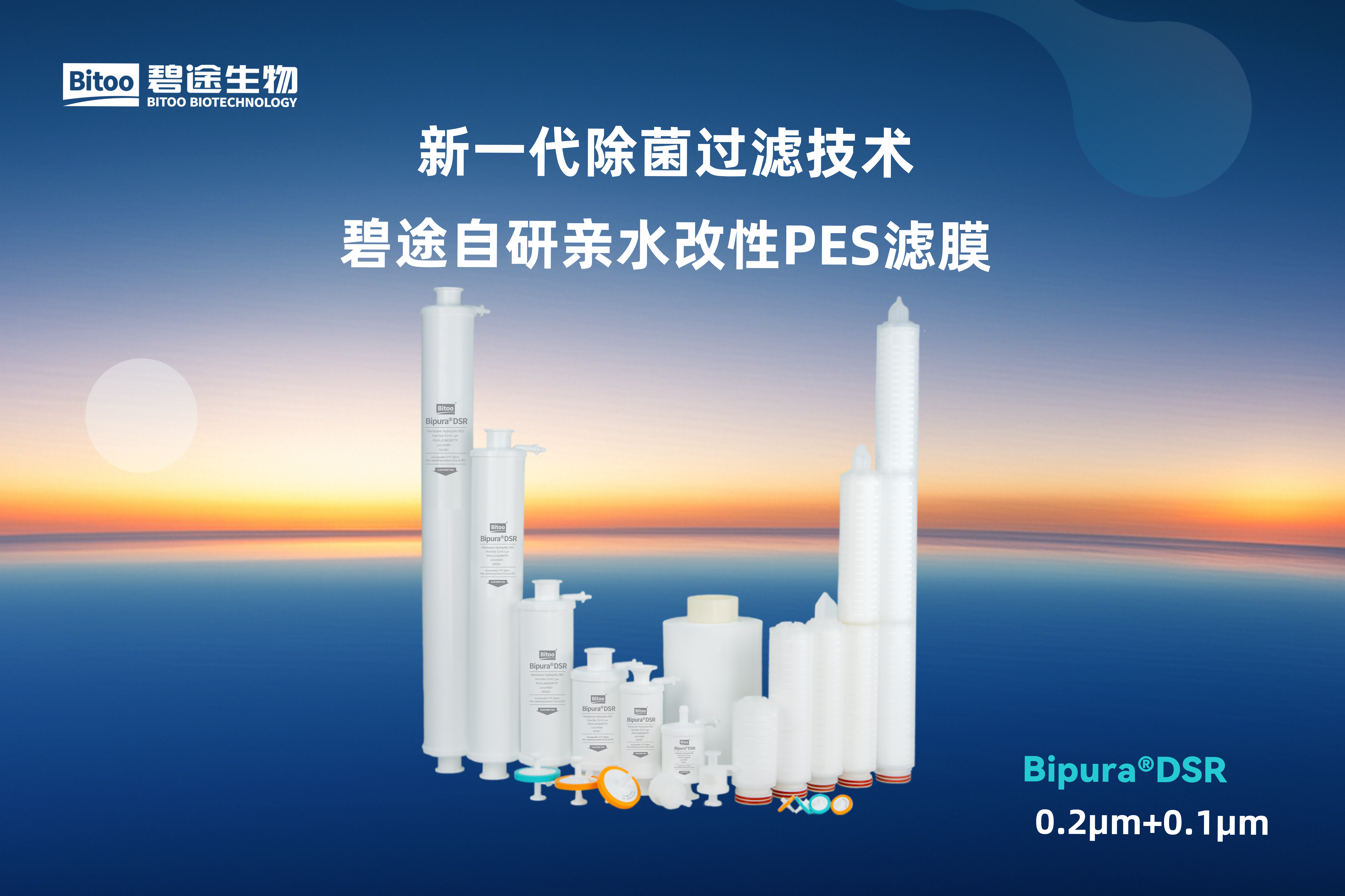 Bipura®DSR 除菌过滤器(0.2μm+0.1μm)