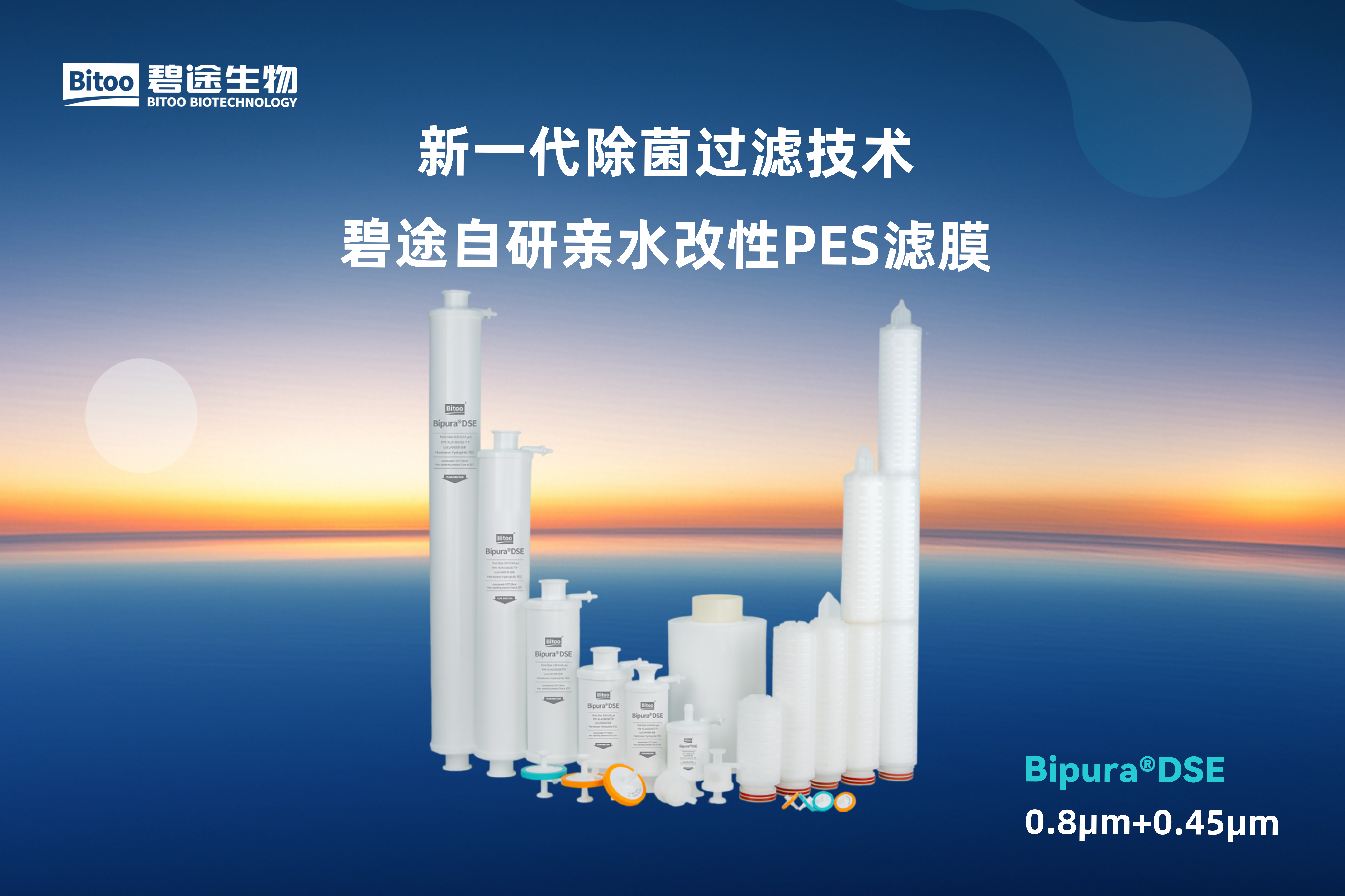 Bipura®DSE 预过滤器(0.8μm+0.45μm)