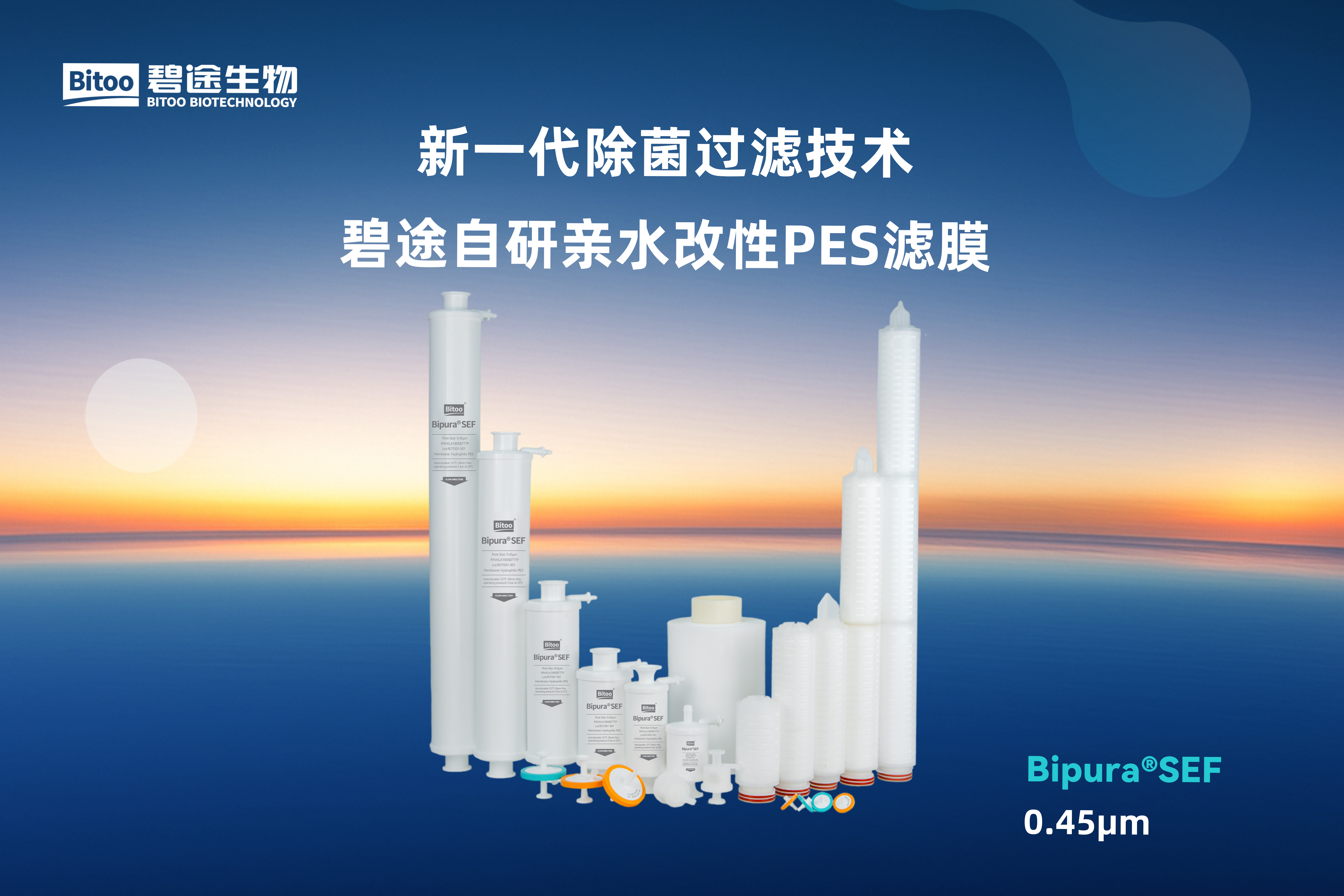 Bipura®SEF 预过滤器(0.45μm)